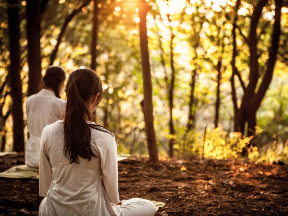 Práctica de meditación guiada en un bosque a contraluz, con luz cálida entre los árboles
